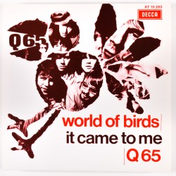 Q65 - World of Birds - 7"