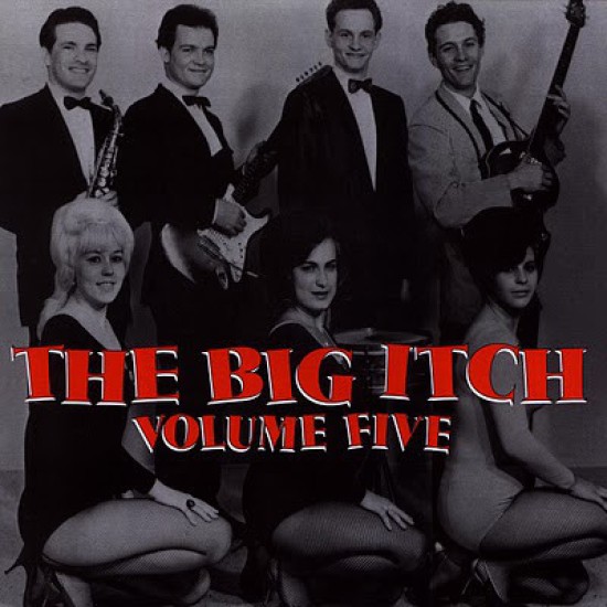 Various Artists ‎– The Big Itch Vol. 5 - LP